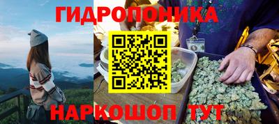 твердый Краснодар