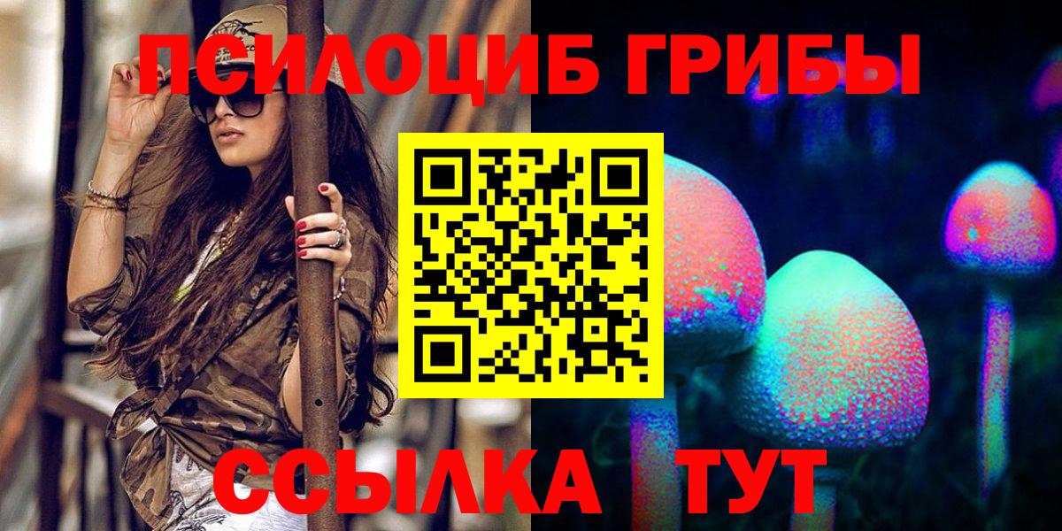 Воркута  Галлюциногенные грибы прущие грибы  Вход с VPN 