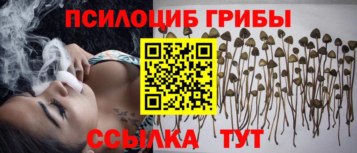 Псилоцибиновые грибы Magic Shrooms Воркута